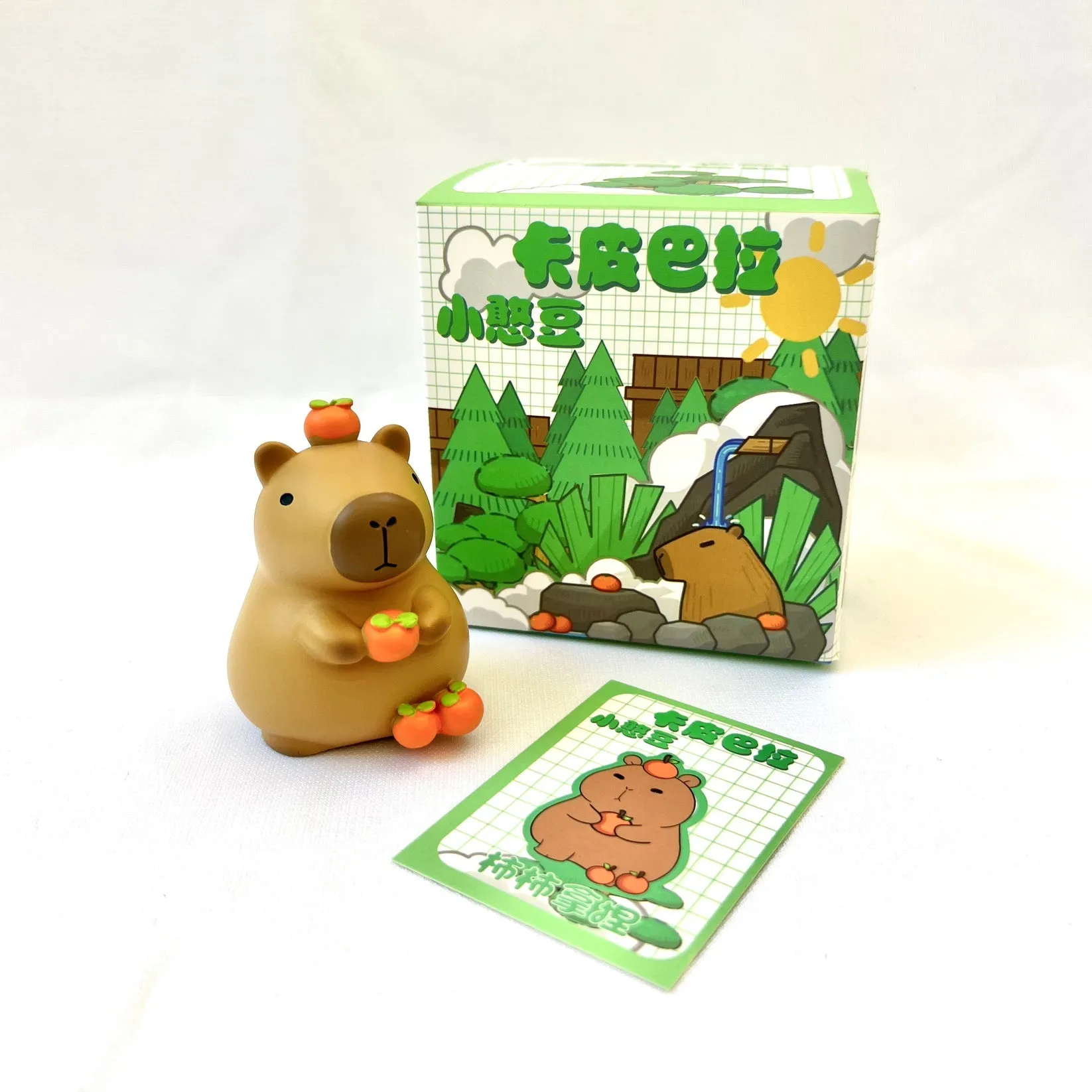 Capybara Blind Box Series 1
