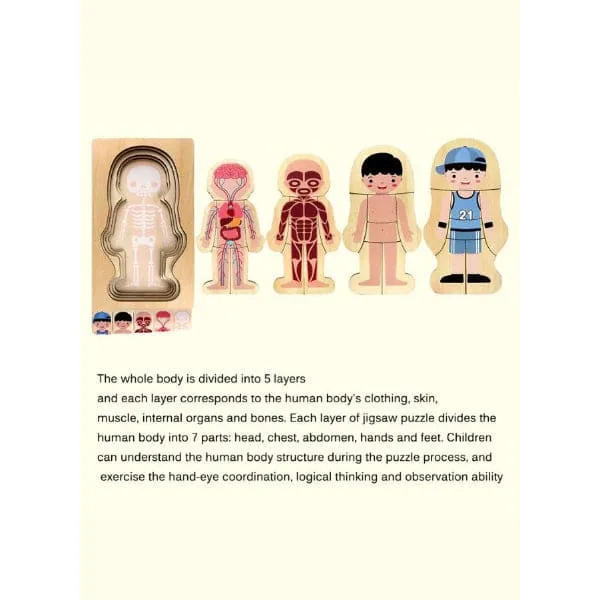 Children Educational Wooden Human Body Structure Wooden Puzzles for Kids (Boy)