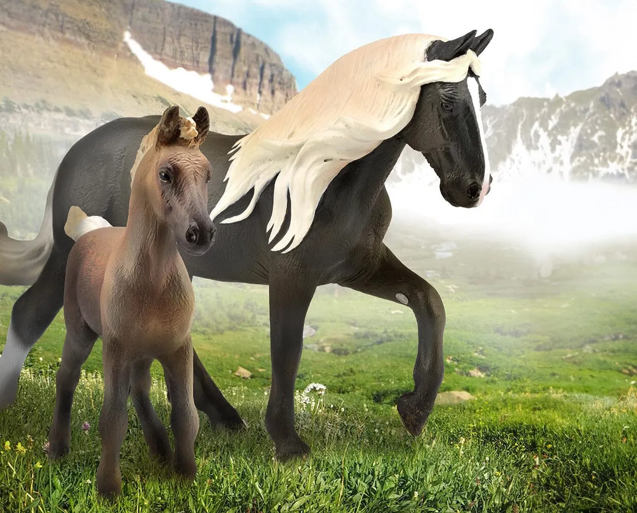 Chocolate Rocky Mountain Foal