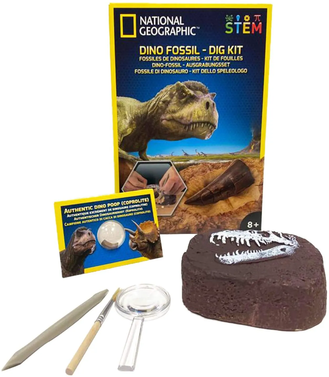 Dino Fossil Dig Kit