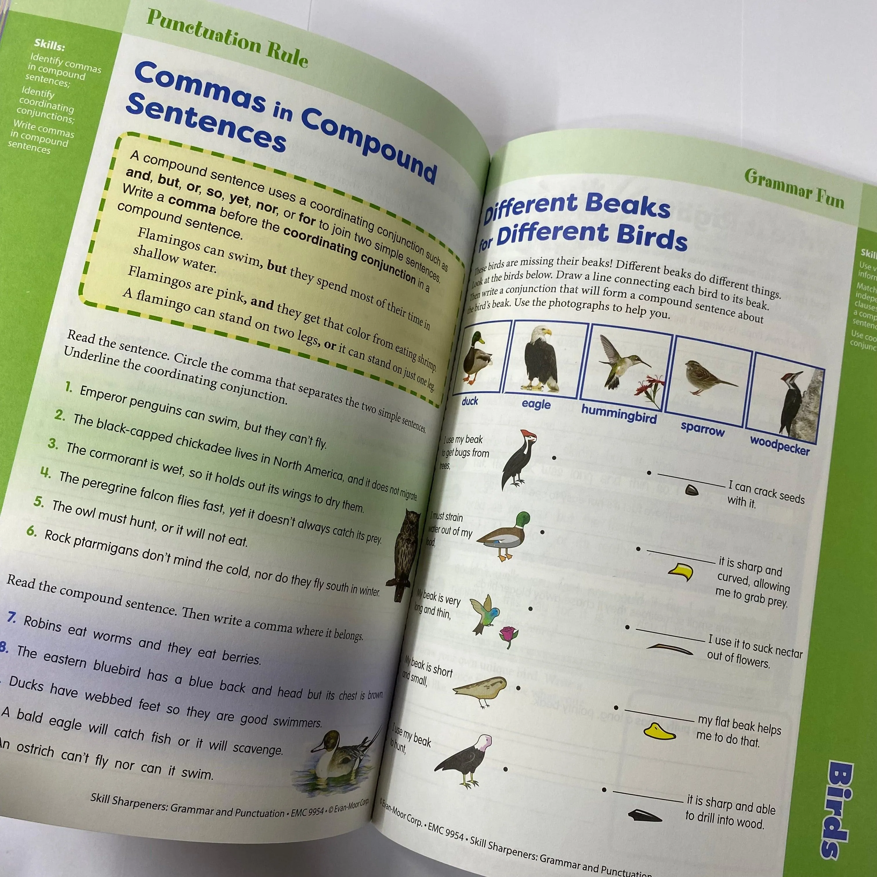 Evan-Moor - Skill Sharpeners Grammar and Punctuation - Connecting School and Home Grade 4