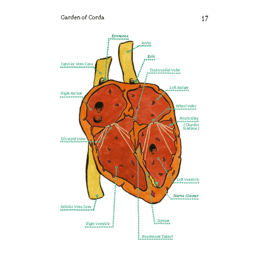 Garden of Corda   PDF