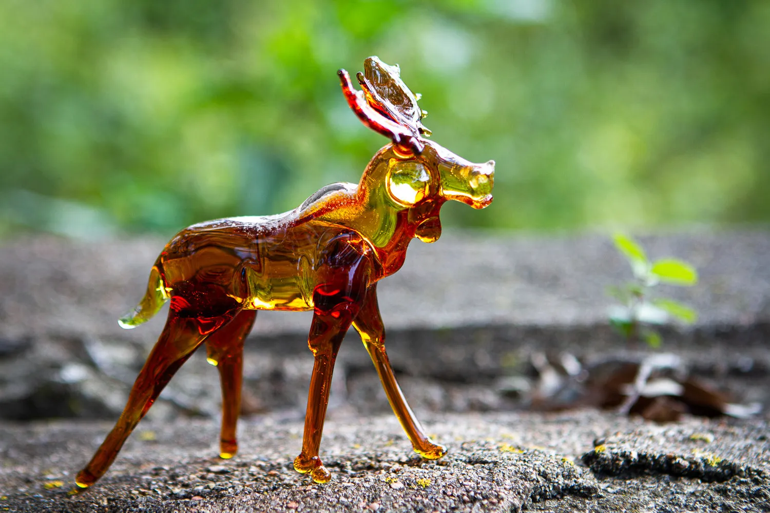 Memorial Moose with Cremains