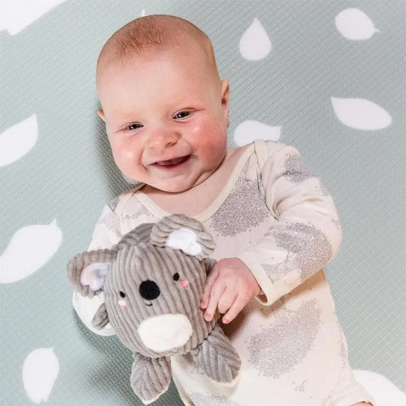 Sensory Set - Koala Buddies