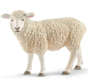 Sheep