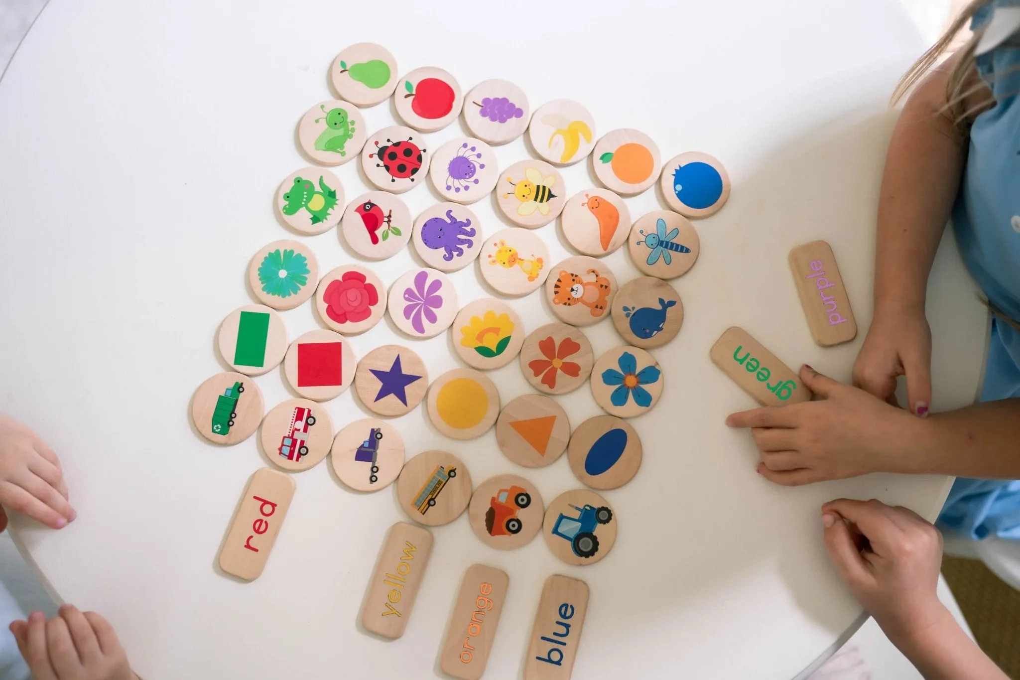 Sorting Game