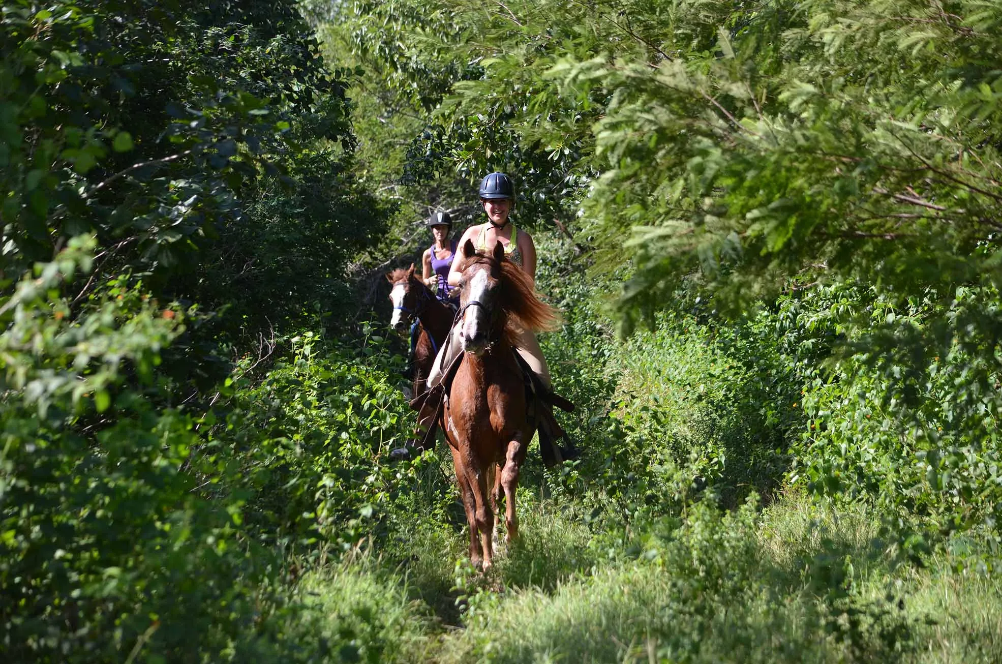 Tulum Jungle Adventure: Horseback Cenote Exploration