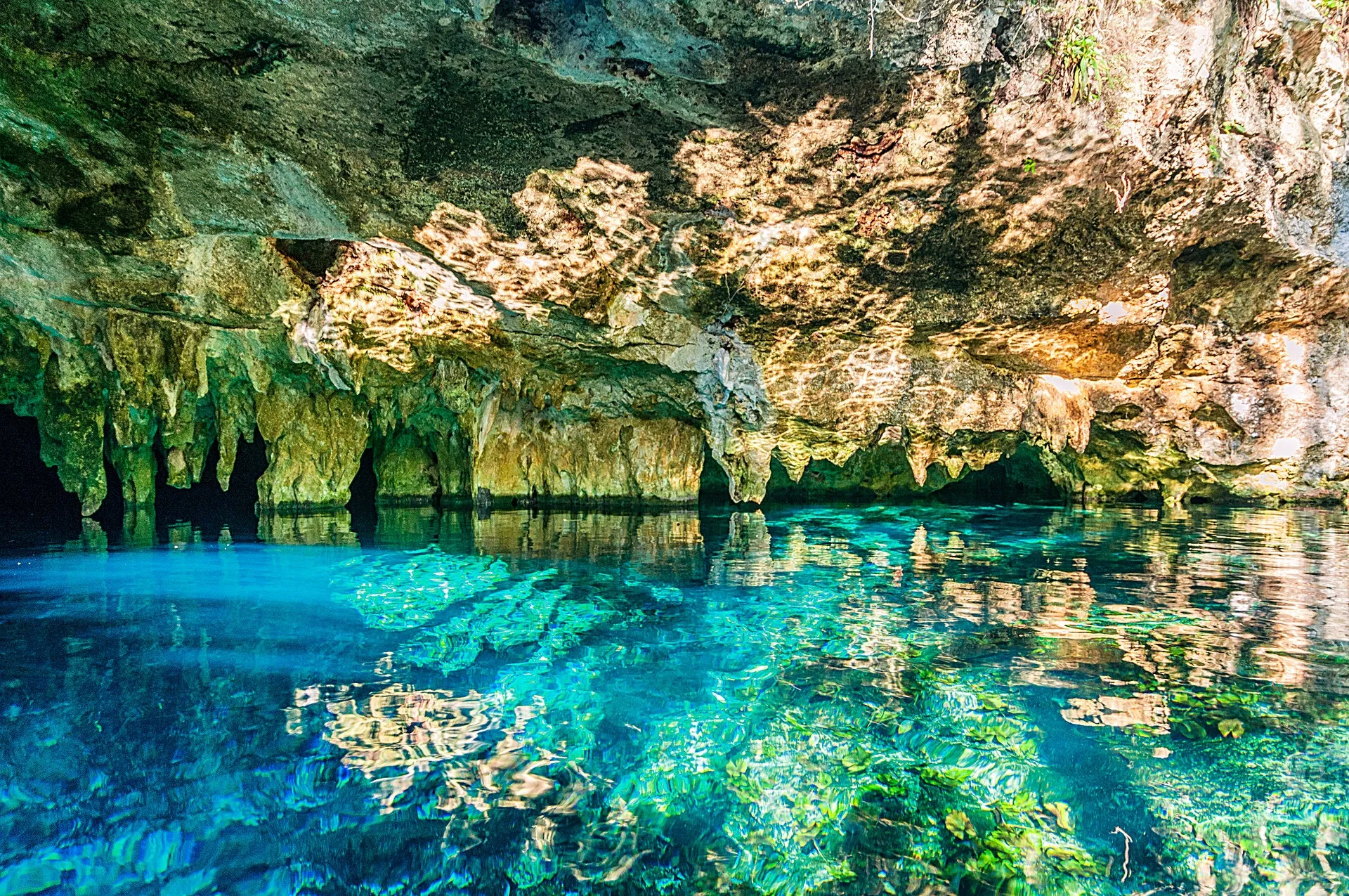 Tulum Jungle Adventure: Horseback Cenote Exploration