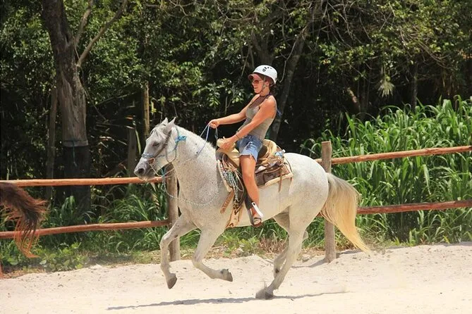 Tulum Jungle Adventure: Horseback Cenote Exploration