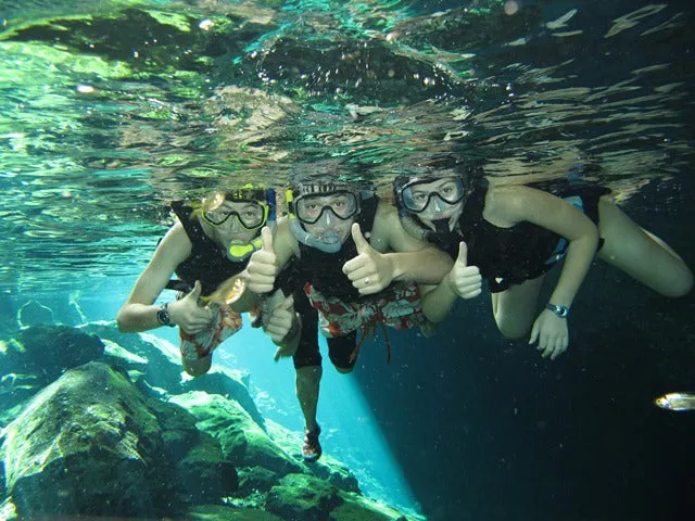 Tulum Jungle Adventure: Horseback Cenote Exploration