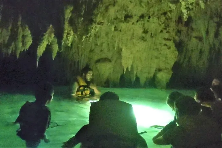 Tulum Jungle Adventure: Horseback Cenote Exploration