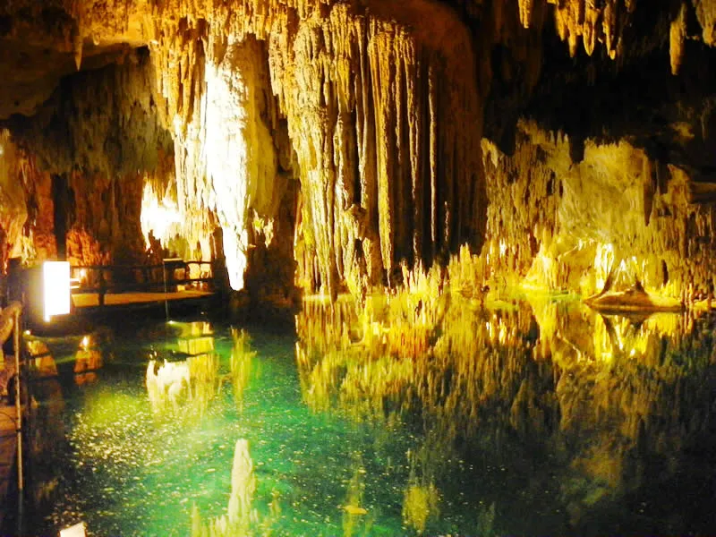 Tulum Jungle Adventure: Horseback Cenote Exploration