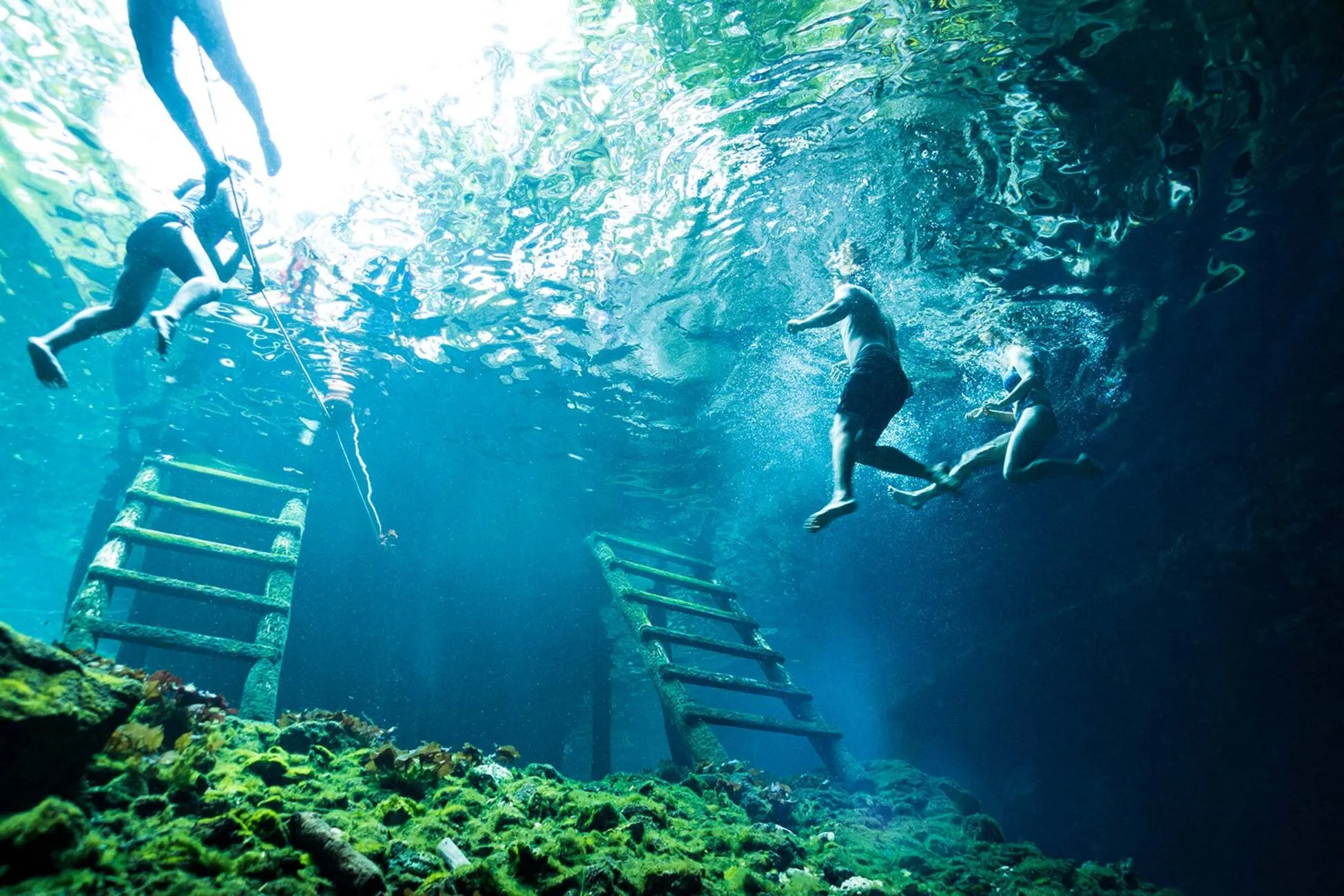 Tulum Jungle Adventure: Horseback Cenote Exploration